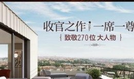 碧桂园最新爆料新闻,揭秘项目进展与市场动态